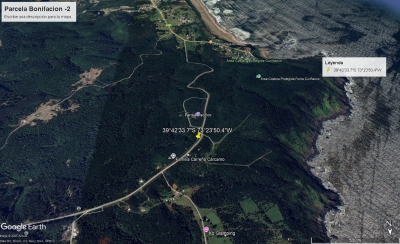 Venta de Parcela  en Valdivia, sector Bonifacio, Valor 50.000.000